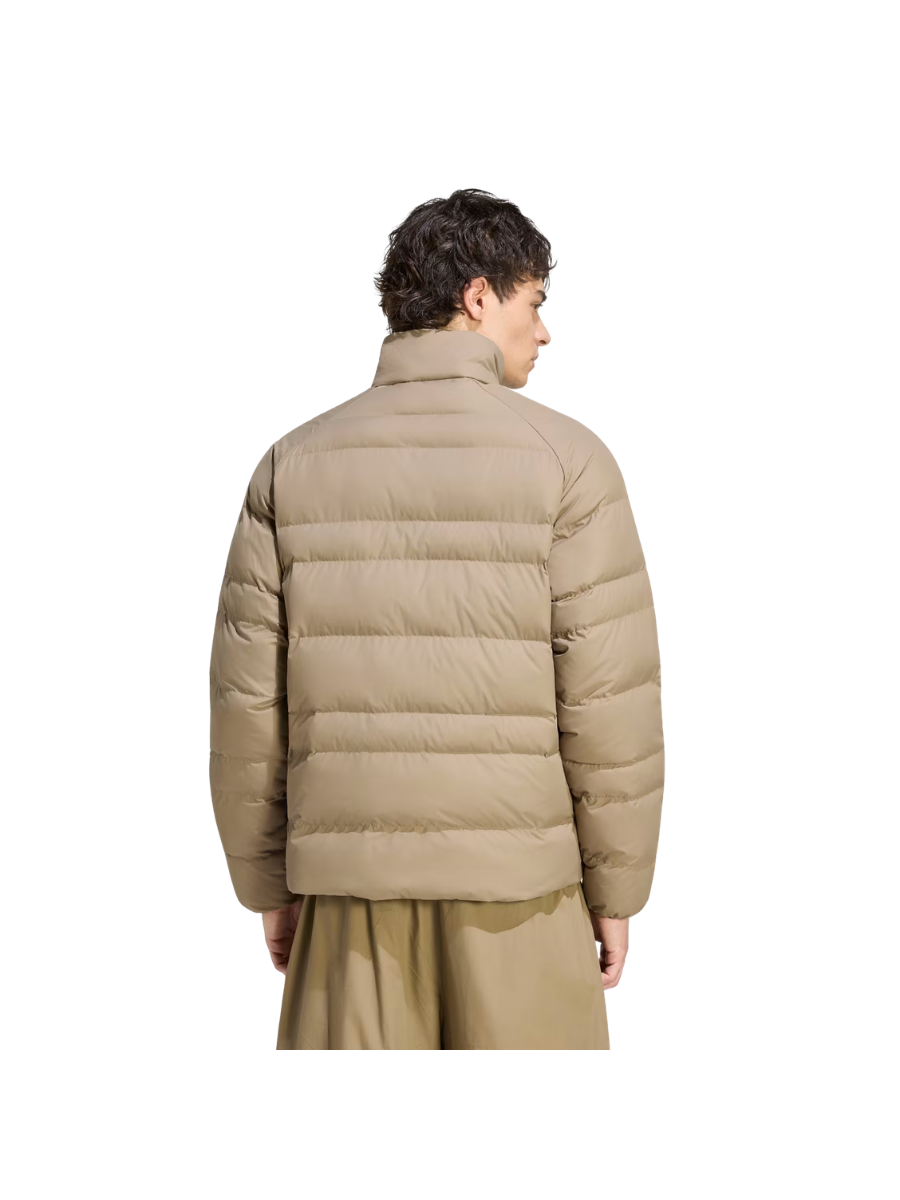 M ESS SD LT P J - Figura 2