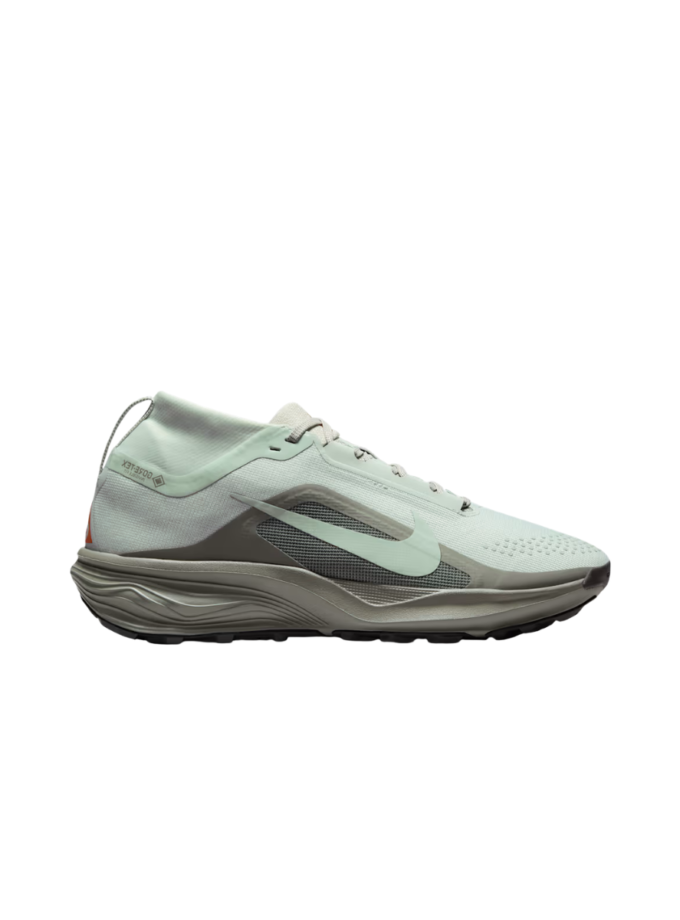 NIKE ACG PEGASUS TRAIL GTX
